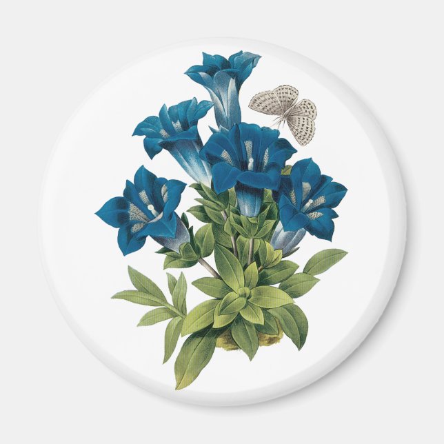 Imán Redoute Blue Flower Magnet (Frente)