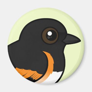 Imán Redstart de Estados Unidos