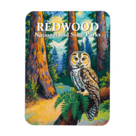 Imán Redwood National Park Forest Owl Van Gogh Style