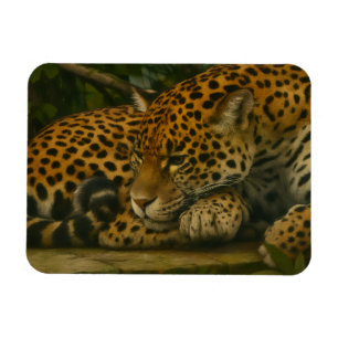 Imán Reflectivo Jaguar - Impresión de arte de vida salv