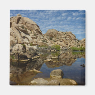 Imán Reflejo de Barker Dam en Joshua Tree I