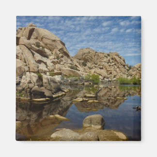 Imán Reflejo de Barker Dam en Joshua Tree I