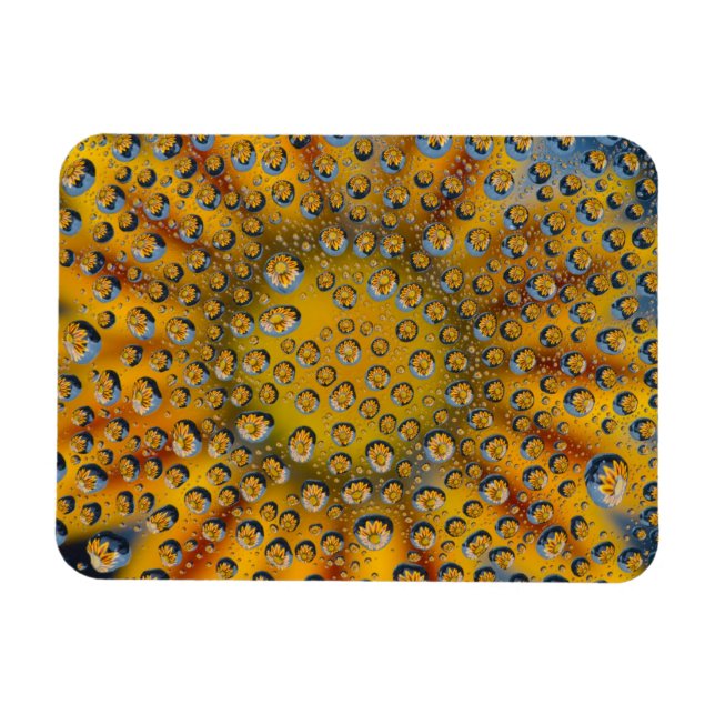 Imán Reflejo de flor en Dew Drop, Ciudad de la Media Lu (Horizontal)