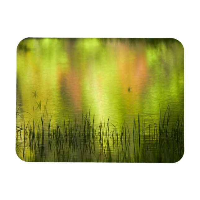 Imán Reflejos en el lago Espejo | Yosemite (Horizontal)