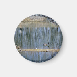 Imán Reflejos Tranquilizadores