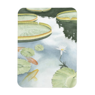 Imán Reflexión de Koi Pond con peces y lirios
