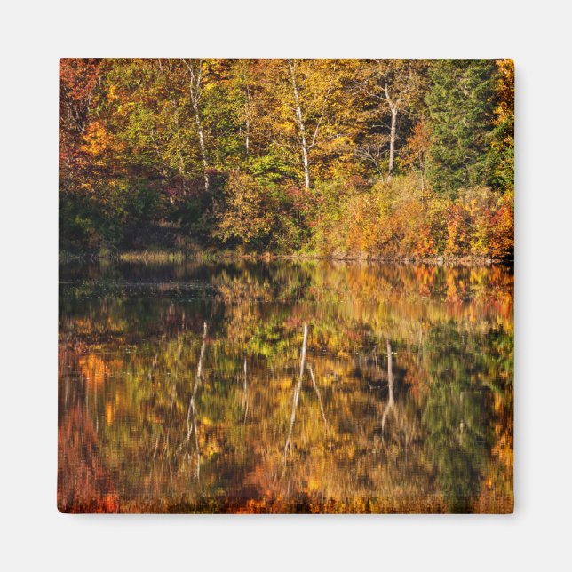 Imán Reflexión de otoño en Coffin Pond (Frente)