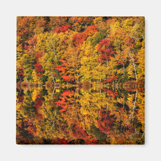 Imán Reflexión de otoño en Russell Pond | New Hampshire