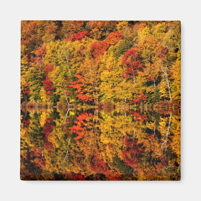 Imán Reflexión de otoño en Russell Pond | New Hampshire (Frente)