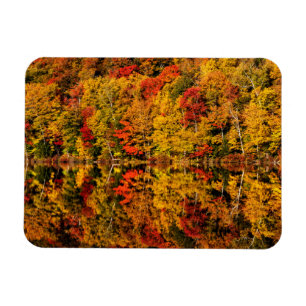 Imán Reflexión de otoño sobre Russell Pond   Nuevo Hamp