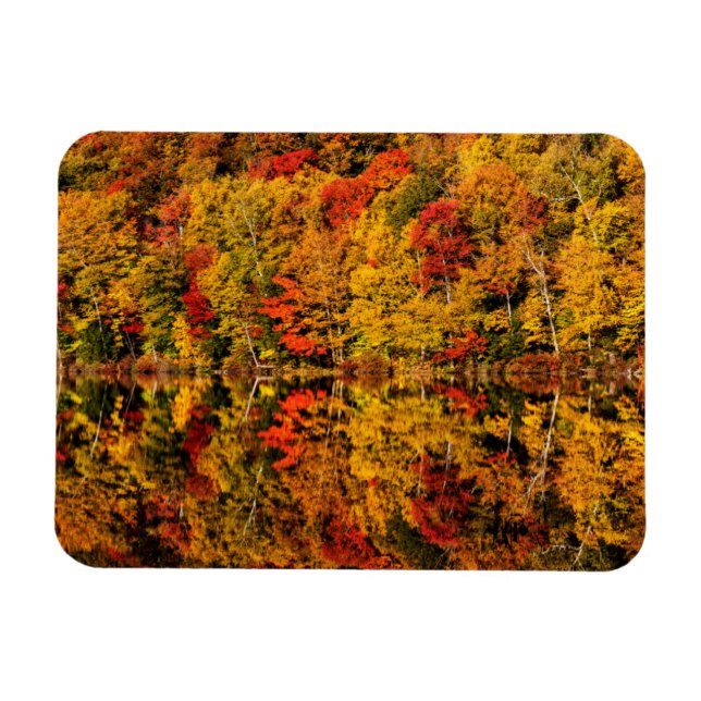 Imán Reflexión de otoño sobre Russell Pond | Nuevo Hamp (Horizontal)