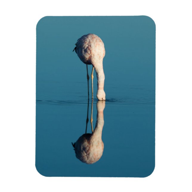 Imán Reflexión Flamingo, Laguna Chaxa, Atacama (Vertical)