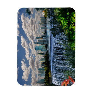 Imán REFLEXIONES DE LAS cataratas del río OZ Brisbane