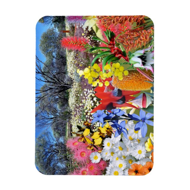 Imán REFLEXIONES DE OZ Australian Wildflowers (Vertical)