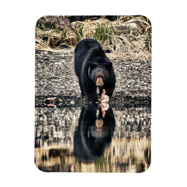 Imán Reflexiones del oso negro (Vertical)