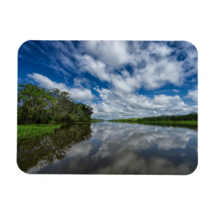 Imán Reflexiones peruanas de la selva