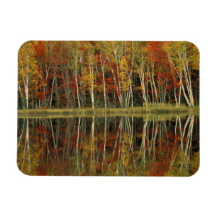 Imán Reflexiones sobre el follaje otoñal y el parto; Hi