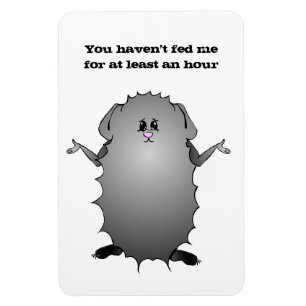 Imán Refranes abisinios del conejillo de Indias