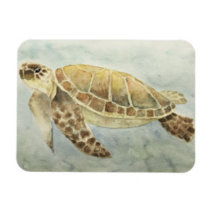 Imán Refridgerator Magnet Sea Turbe #1