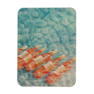 Imán Refrigeración por vino 2010