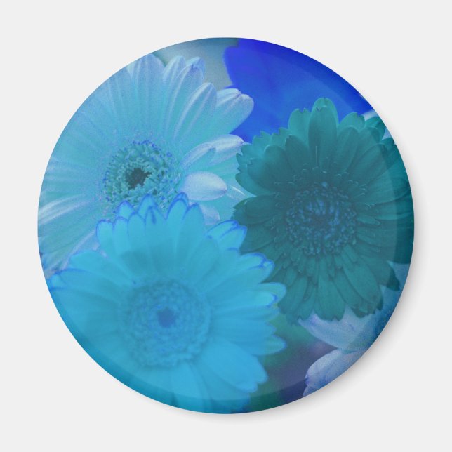 Imán Refrigerador de flores Blue Gerbera Daisy Magnet (Frente)