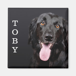 Imán Refrigerador de fotos de perros personalizado