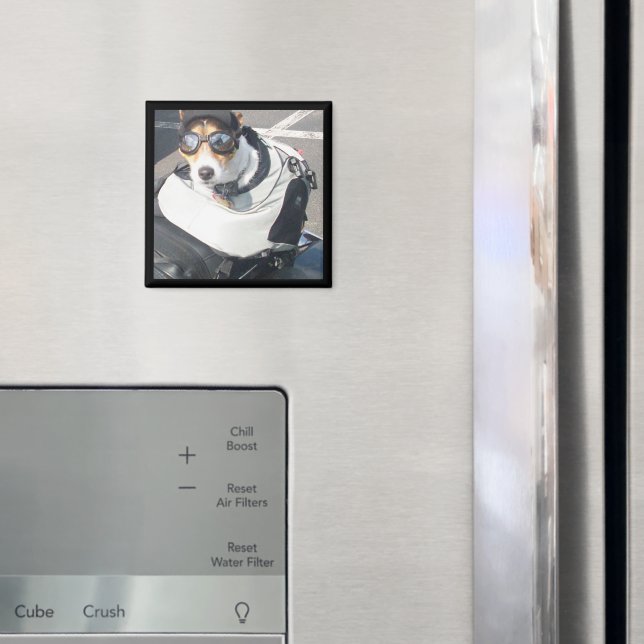 Imán Refrigerador de garganta (In situ (nevera))