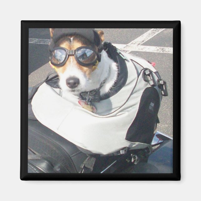 Imán Refrigerador de garganta (Frente)