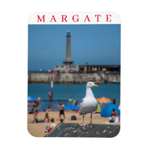 Imán Refrigerador de gaviota de margen