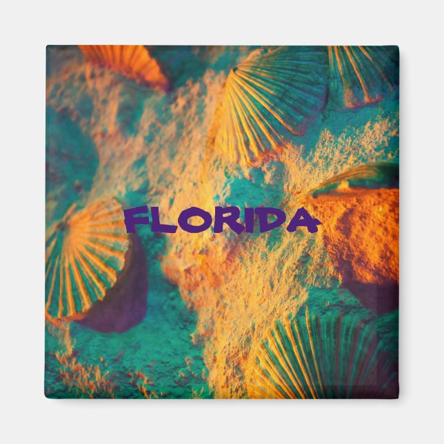 imán refrigerador de las conchas marinas de FLORID (Frente)