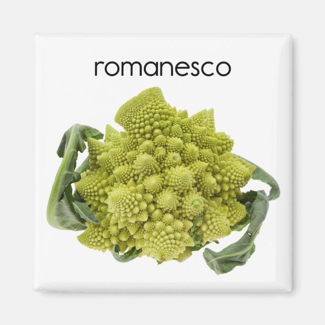 Imán Refrigerador de Romanesco (Frente)