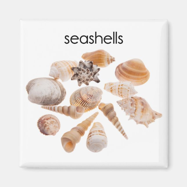 imán Refrigerador de Seashells (Frente)