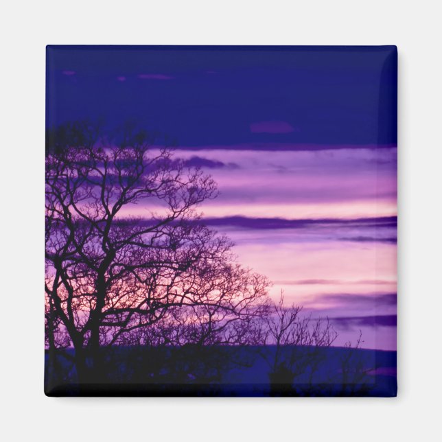 Imán Refrigerador de Silhouette con árbol de sol morado (Frente)