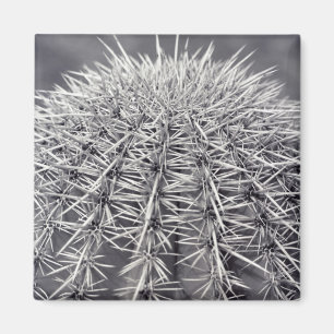Imán Refrigerador del Desierto Sonorano de Cactus de Pr