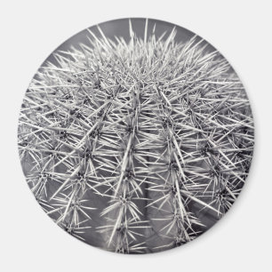 Imán Refrigerador del Desierto Sonorano de Cactus Prick