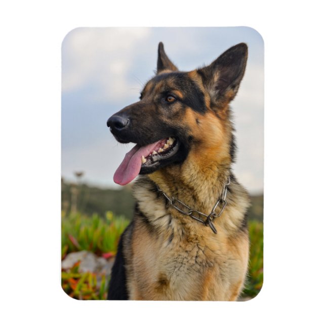 Imán Refrigerador fotográfico personalizado (Vertical)