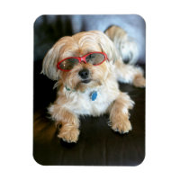 Refrigerador fotográfico personalizado