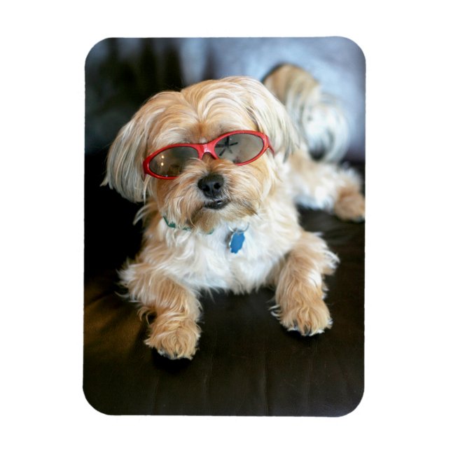 Imán Refrigerador fotográfico personalizado (Vertical)