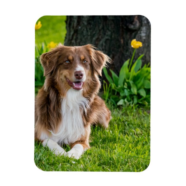 Imán Refrigerador fotográfico personalizado (Vertical)