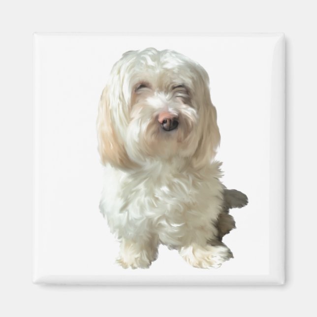 Imán Refrigerador Magnet Havanese Dog (Frente)