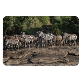 Imán Refrigerador Magnet TU plantilla de fotos 4 x 6