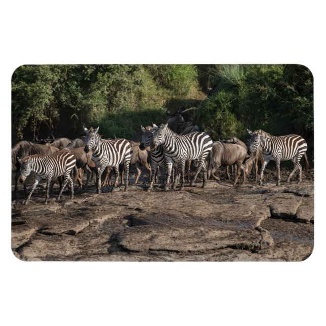 Imán Refrigerador Magnet TU plantilla de fotos 4 x 6 (Horizontal)