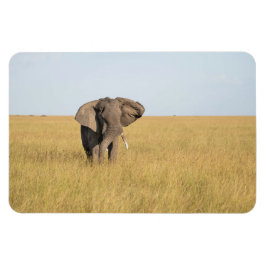 Imán Refrigerador Magnet TU plantilla de fotos 4 x 6