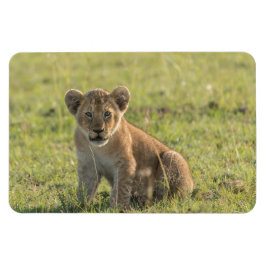 Imán Refrigerador Magnet TU plantilla de fotos 4 x 6