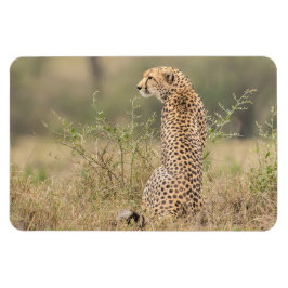 Imán Refrigerador Magnet TU plantilla de fotos 4 x 6