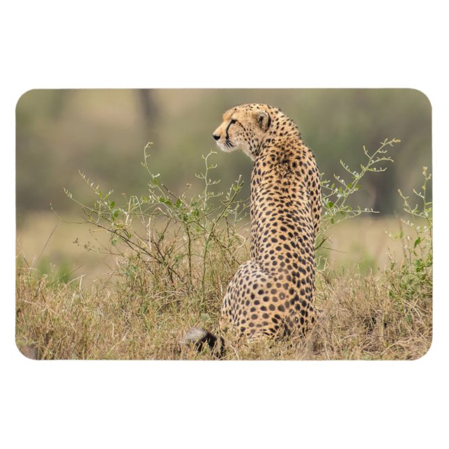 Imán Refrigerador Magnet TU plantilla de fotos 4 x 6 (Horizontal)