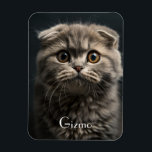 Imán Refrigerador moderno lindo Mascota gato foto<br><div class="desc">Refrigerador moderno lindo gato Mascota foto imán</div>