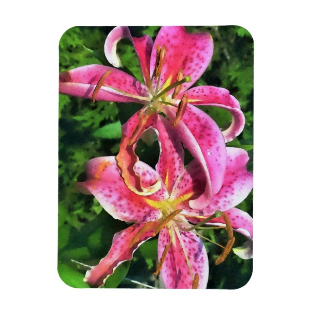Imán Refrigerator Magnet Pink Lilies (Vertical)
