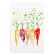 Refrigerator Magnet - Watercolor Heirloom Carrots