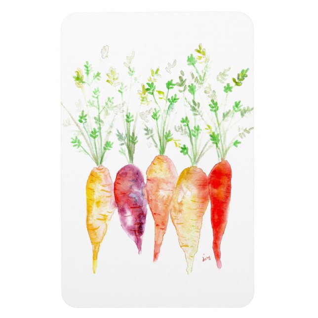Imán Refrigerator Magnet - Watercolor Heirloom Carrots (Vertical)